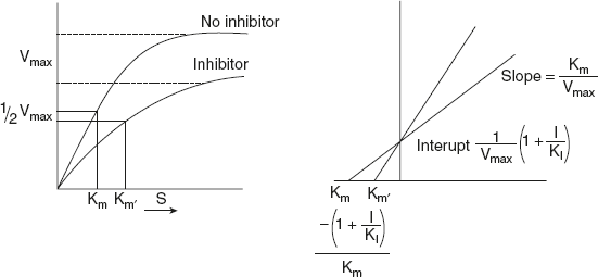 Figure 6.24 M–M and LB Plot of Uncompetitive Inhibition