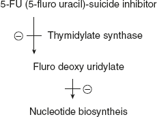 Figure 6.26 Sucide Inhibition (5FU–5 Fluro Uracil) in Cancer Chemotherapy