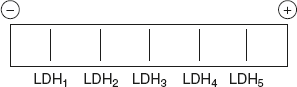 Figure 6.35 Electrophoritic Movement of LDH