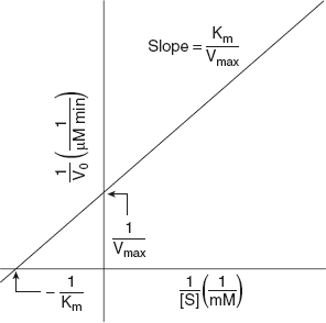 Figure 6.9 A Double-Reciprocal Plot or Lineweaver Burk Plot