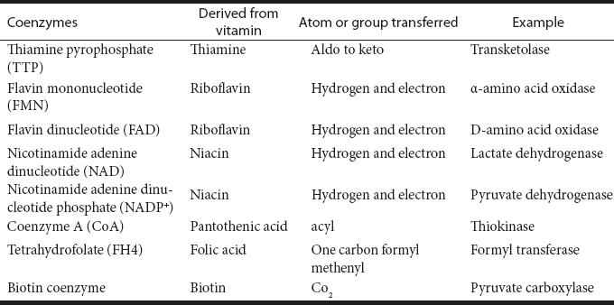 Table 6.12 Coenzymes of B-complex Vitamins
