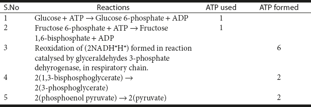Table 8.1 Production of High-energy Phosphate in the Catabolism of Glucose