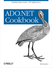 ADO.NET Cookbook