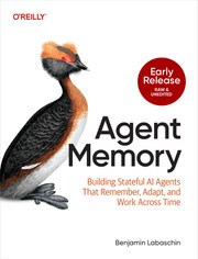 Agent Memory