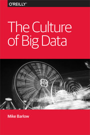 The Culture of Big Data