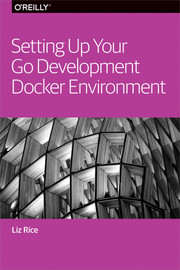 Setting up your Go development docker environment