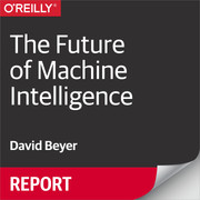 The Future of Machine Intelligence