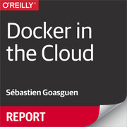 Docker in the Cloud