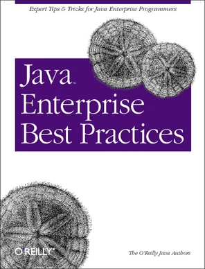 Java Enterprise Best Practices [Book]