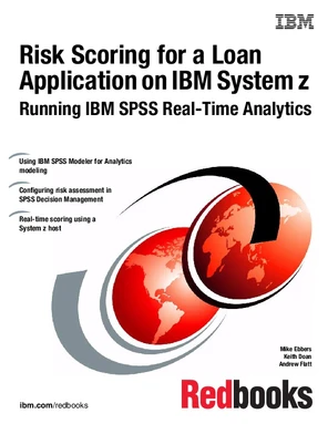 Chapter 6. Configure the risk assessment in SPSS Decision Management ...