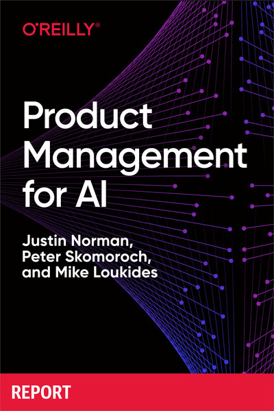 2. Practical Skills for the AI Product Manager - Product Management for ...