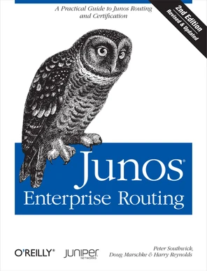 Exam Topics - Junos Enterprise Routing, 2nd Edition [Book]