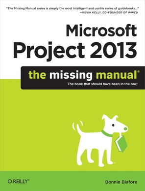 Launching Project 2013 - Microsoft Project 2013: The Missing Manual [Book]