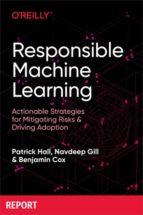 Responsible Machine Learning [Book]
