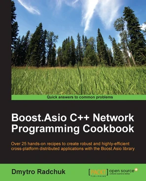 Implementing a synchronous TCP client - Boost.Asio C++ Network ...