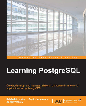 About the Authors - Learning PostgreSQL [Book]