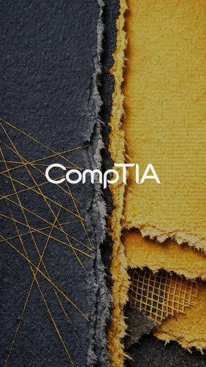What is Ethernet? - CompTIA Network+ Certification (N10-008): The Total ...