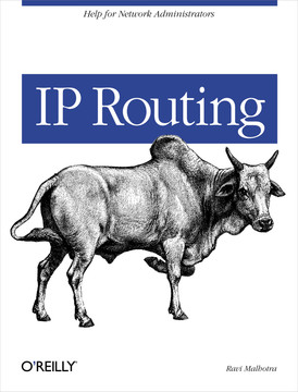 Ip Routing Book