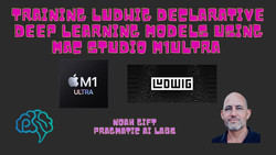 Training Ludwig Declarative Deep Learning models using Mac Studio M1Ultra