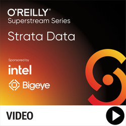 Strata Data Superstream Series: Business Analysis