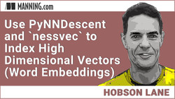 Use PyNNDescent and `nessvec` to Index High Dimensional Vectors (Word Embeddings)