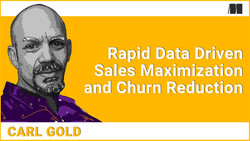 Rapid Data Driven Sales Maximization and Churn Reduction