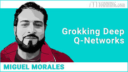 Grokking Deep Q-Networks