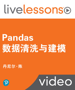 Pandas数据清洗与建模