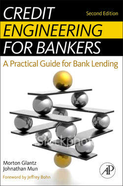 Credit Engineering for Bankers, 2nd Edition