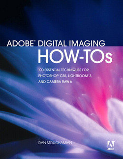 Adobe Digital Imaging How-Tos: 100 Essential Techniques for Photoshop CS5, Lightroom 3, and Camera Raw 6