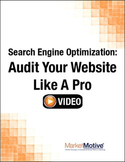 Search Engine Optimization: Audit Your Website Like a Pro (Streaming Video)