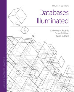 Databases Illuminated, 4th Edition