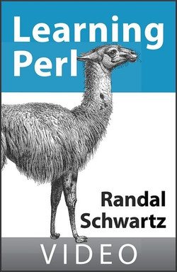 Randal Schwartz on Learning Perl