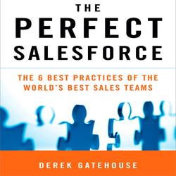 The Perfect SalesForce