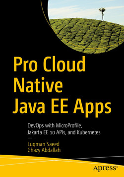 Microprofile java store ee