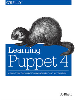 Learning Puppet 4