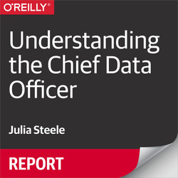 Understanding the Chief Data Officer, 2nd Edition