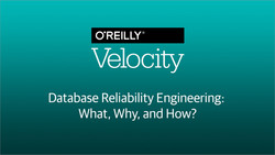 Database Reliability Engineering: What, Why, and How?