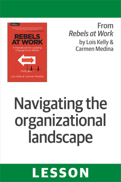 Navigating the organizational landscape[Book]