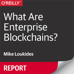 What Are Enterprise Blockchains?