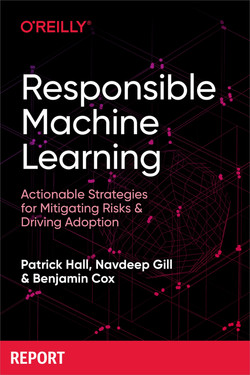 Responsible Machine Learning