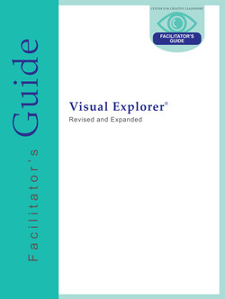 Visual Explorer Facilitator's Guide