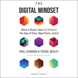 The Digital Mindset