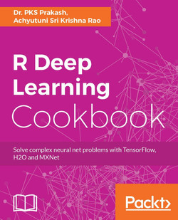 R Deep Learning Cookbook