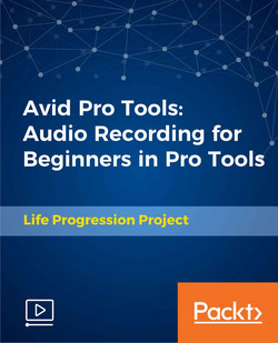 Avid Pro Tools: Audio Recording for Beginners in Pro Tools